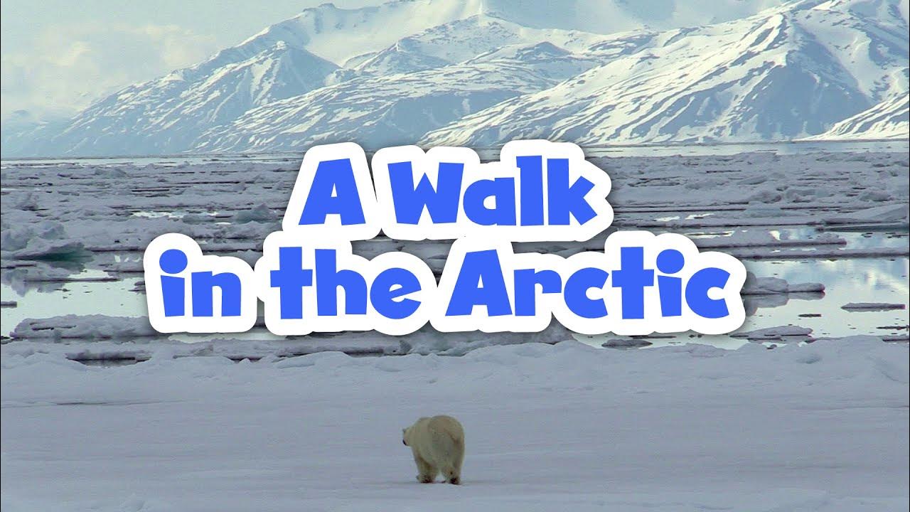 Arctic mp3. Арктика по английски. арктика на английском. look closer into the arctic.