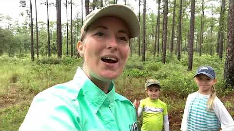 Part 1: O2O Wildlife Corridor Video Series with Ki...