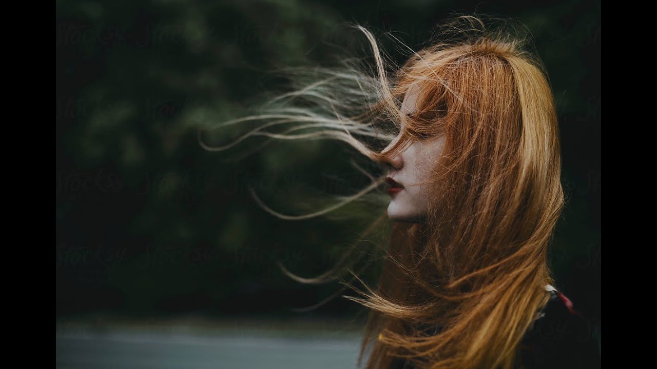 Timson - The Wind Whispers