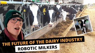 ROBOTIC MILKERS | THE FUTURE OF THE DAIRY INDUSTRY