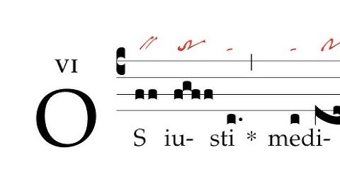 Introitus: Os iusti meditabitur sapientiam