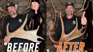 How To Restore Antler Color THE RIGHT WAY | Elk, Moose, Deer Antlers