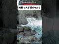 推薦で大学に受かったら#漫画#shorts