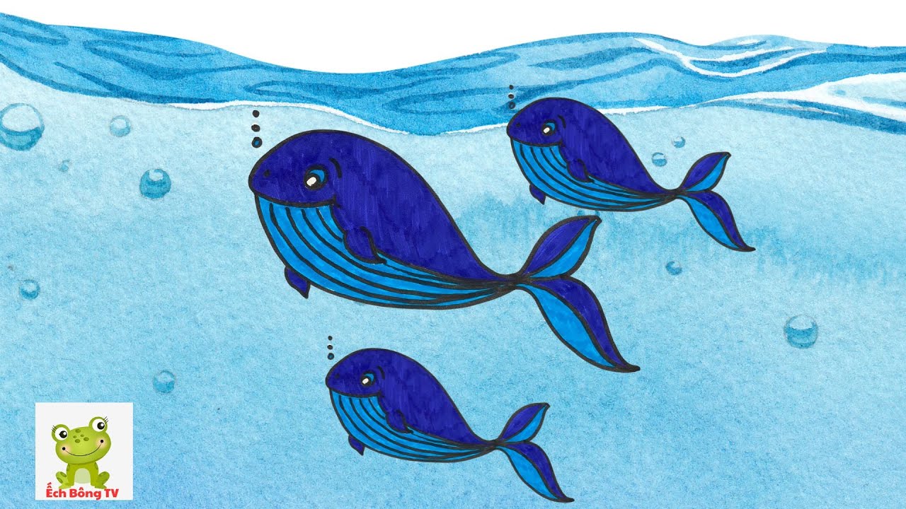 Dạy vẽ con cá voi| Vẽ cá voi dễ thương| Học vẽ các con vật đáng yêu