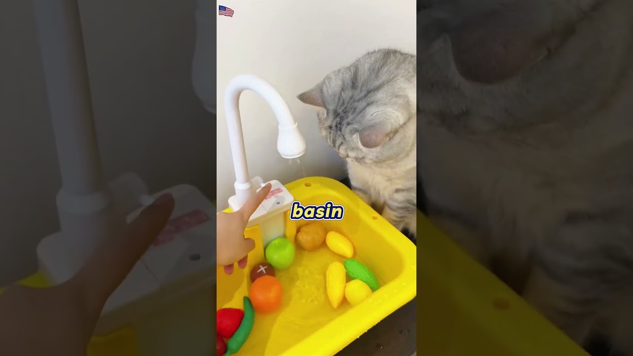 When the Cat Thinks It’s the Younger Brother And Steals All His Stuff! 🐾😂