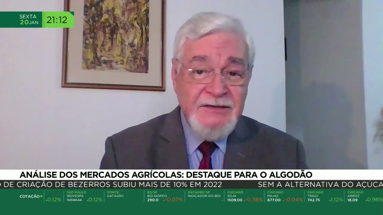 Análise dos mercados agrícolas: destaque para o algodão