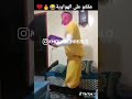 الهواوية