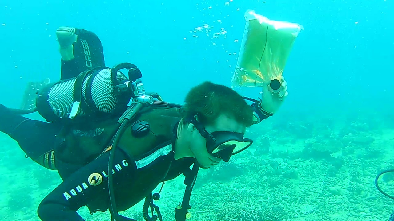 On boit du vin sous l'eau en pleine plongée