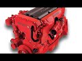 Si tienes un motor Cummings deja de usar esta pieza va a dañar tu motor fleetguard LF14000NN