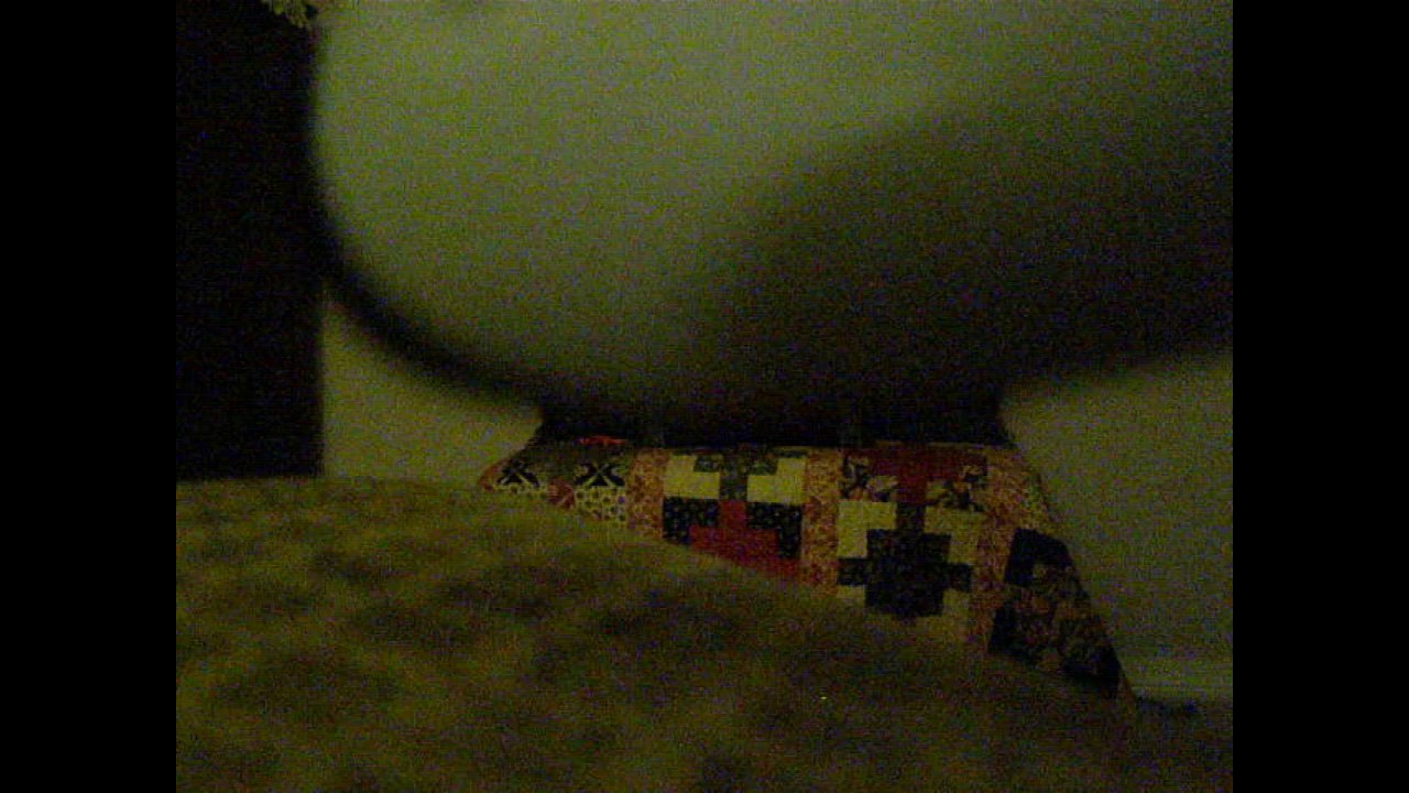 Easter Bunny Caught on Camera 2017 YouTube