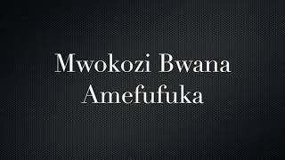 Mwokozi Bwana Amefufuka