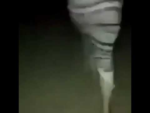 Мем шамиль дай присунуть