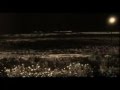 رياض الزين هذا مكتوبي Mp4 رياض الزين هذا مكتوبي Mp4