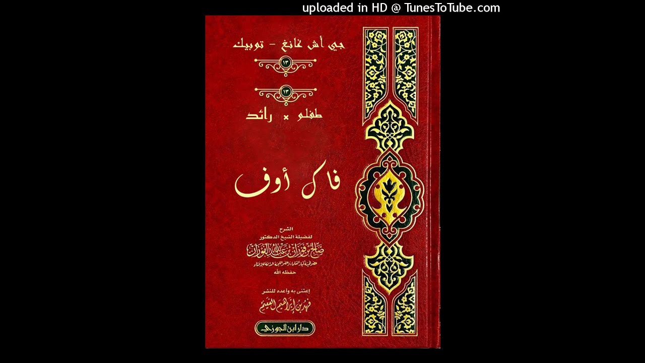 Raid, TFLOW - Fuck Off IV ( Official Remix )