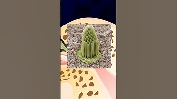 Wat is een transformatie