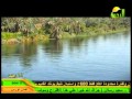 نشيد نفسي أعملك حاجه يابلدي كامله محمد النجار