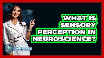 What Is Sensory Perception In Neuroscience? - Psychological Clarity