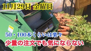人参など根菜類の急な注文でも楽々！野菜洗浄