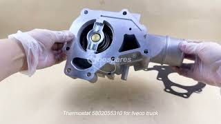 5802055310@goosparestruck.com