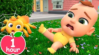 Boo Boo Bugs Song | Insects Version | Newborn Baby Songs & Nursery Rhymes