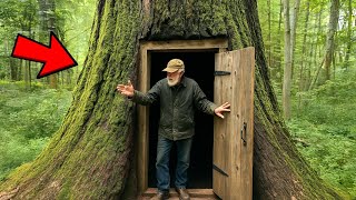 Full Story Veteran Lived In Tree For Decades, Wait Until You See The Inside...