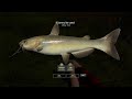 Russian Fishing 4 - Catfish - 1,892 kg ( Somn - 1,892 kg )