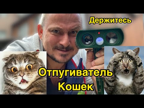 Кошки гадят на участке.Обьявил им войну.