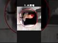 【トラウマ注意!】カメラが捉えた戦慄する恐怖映像! #shorts #心霊 #ゆっくり解説