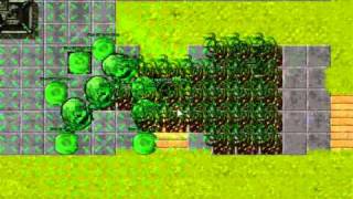 POI solo TIBIA parte (2)