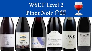 【廣東話】WSET Level 2 | Pinot Noir 的特性、著名產區及 Food Pairing