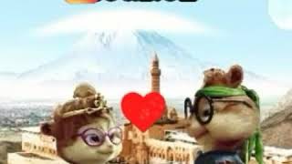 Alivin Ve Sincaplar Disa Dilem