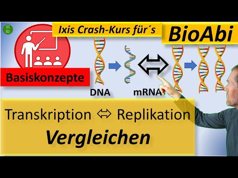 Video: Was sind 2 Unterschiede zwischen Transkription und DNA-Replikation?