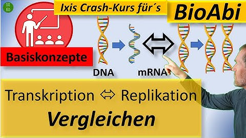 Was ist der unterschied zwischen translation und traskription