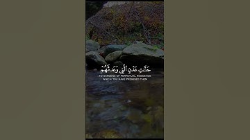 القارئ خالد الجليل - سورة غافر❤️