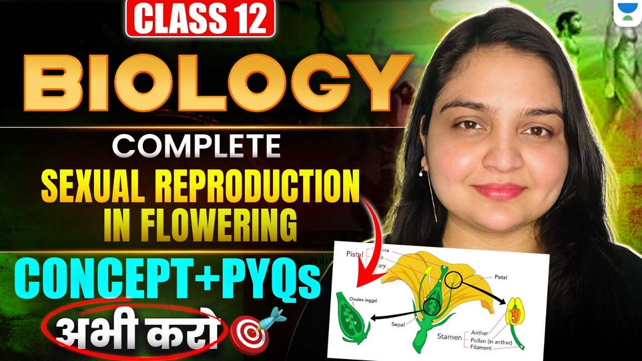 Class 12 Biology | Sexual Reproduction in Flowering Plants | Concept ...