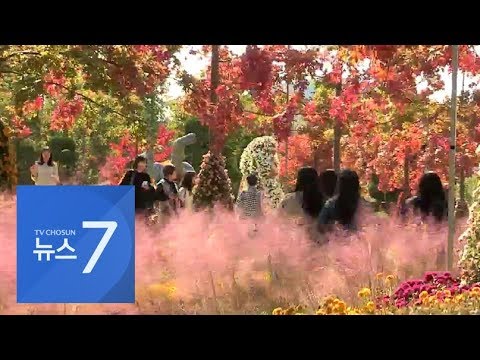 산에는 &amp;#39;단풍&amp;#39; 도심엔 &amp;#39;국화&amp;#39;…&amp;quot;농민들은 수확의 기쁨&amp;quot;