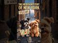 Hachi & Shiko | The Hidden Mystery of New York Ep.5 #ShikoHachiAdventure
