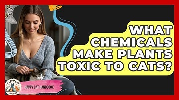What Chemicals Make Plants Toxic To Cats? - Happy Cat Handbook