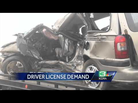 More undocumented immigrants line up for driver's licenses