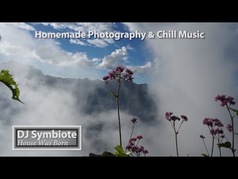 Electronic Music 24/7 Live | Deep & Tropical House | Liquid Drum & Bass | Nature Photography