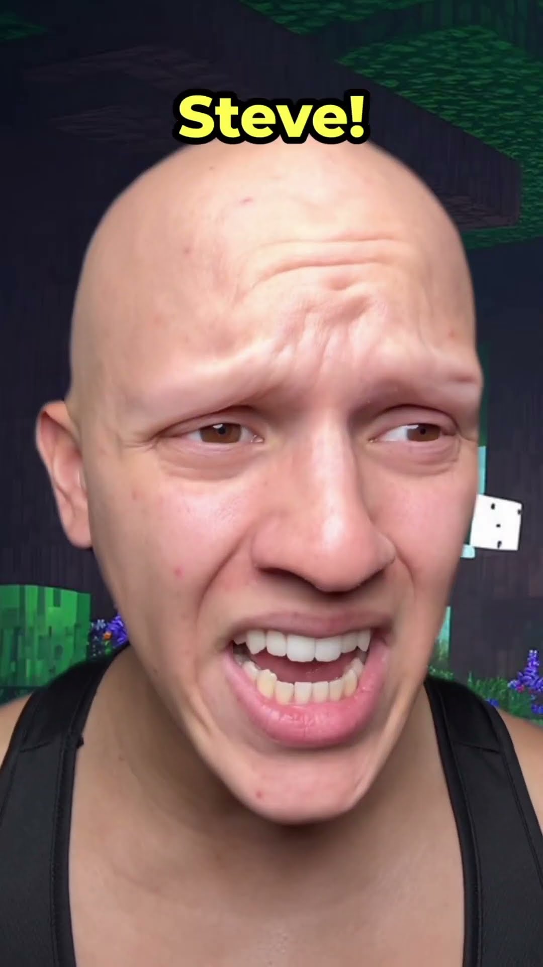 Minecraft STEVE is a BULLY! (part 3) #comedy #funny #lol #steve #minecraft #gaming #fails