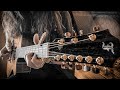 “CRAWLIN’ KING SNAKE” on 9-String Acoustic Guitar with Rattlesnake Tail Percussion