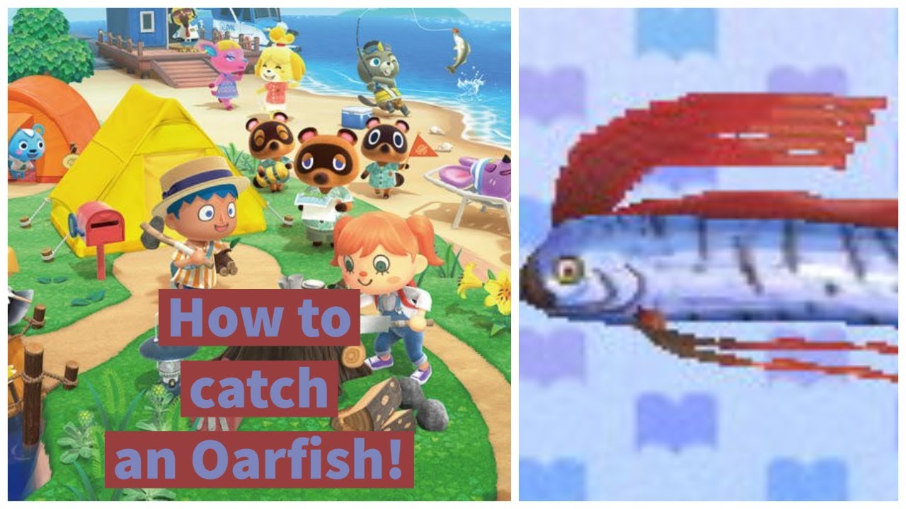 How to catch an Oarfish Animal Crossing New Horizons YouTube