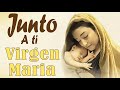 Preciosa las canciones de la virgen que su luz de madre nos ilumine siempre virgen Santa amen 2