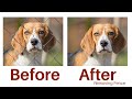 Remove Fences in Photoshop