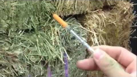 How to find a needle in a haystack