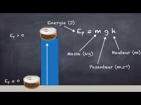 Capsule énergie cinétique, potentielle et mécanique