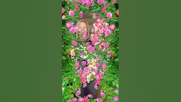 How To Make a Tulip Wreath/ How To Make a Flower Wreath/ How To Make a Spring Wreath/ #shorts #diy