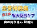 【坐骨神経痛】脚の痺れ痛み解消 臀部・大腿部ケア方法
