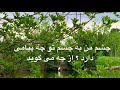 آواز و ترانه رحمانی چشم من به چشم تو چه پیامی دارد استاد محمد علی طاهری Mohammad Ali Taheri